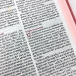 Biblia de Estudos da Mulher NVT - Rosa
